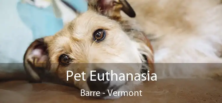 Pet Euthanasia Barre - Vermont