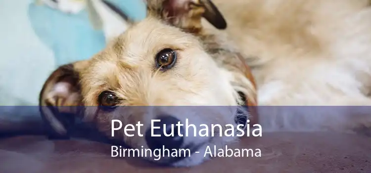 Pet Euthanasia Birmingham - Alabama