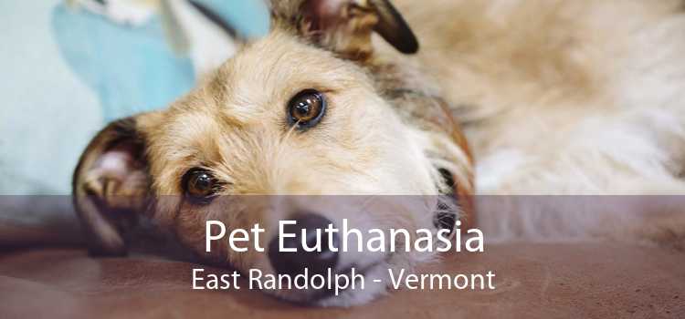 Pet Euthanasia East Randolph - Vermont