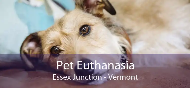 Pet Euthanasia Essex Junction - Vermont