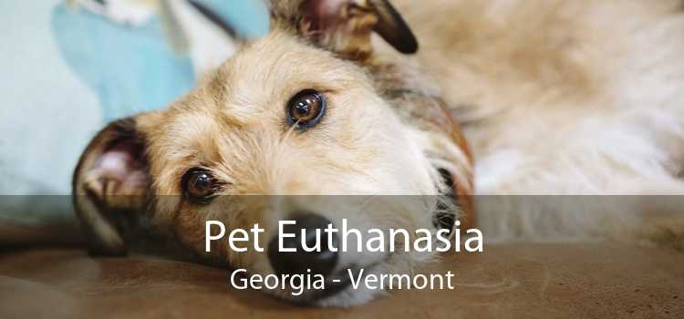 Pet Euthanasia Georgia - Vermont