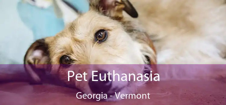 Pet Euthanasia Georgia - Vermont