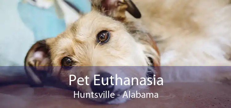 Pet Euthanasia Huntsville - Alabama