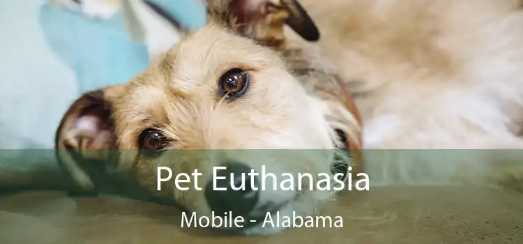 Pet Euthanasia Mobile - Alabama