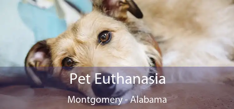 Pet Euthanasia Montgomery - Alabama