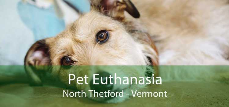 Pet Euthanasia North Thetford - Vermont