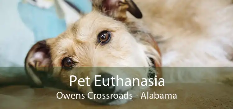 Pet Euthanasia Owens Crossroads - Alabama