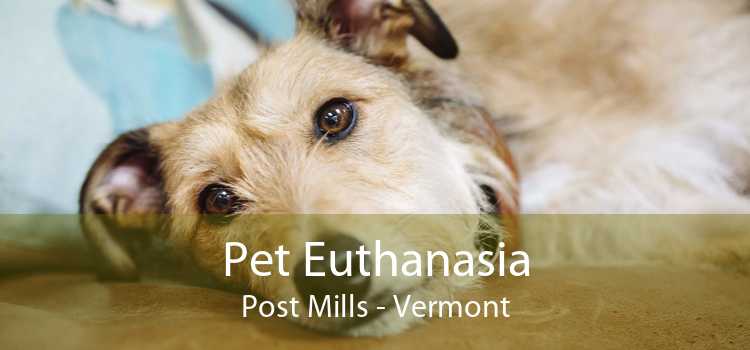 Pet Euthanasia Post Mills - Vermont