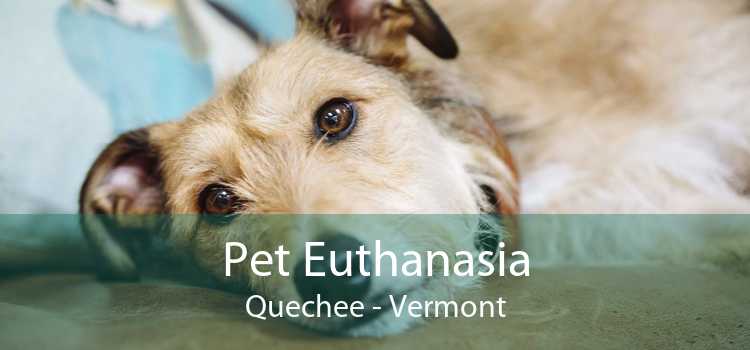 Pet Euthanasia Quechee - Vermont