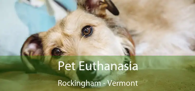 Pet Euthanasia Rockingham - Vermont