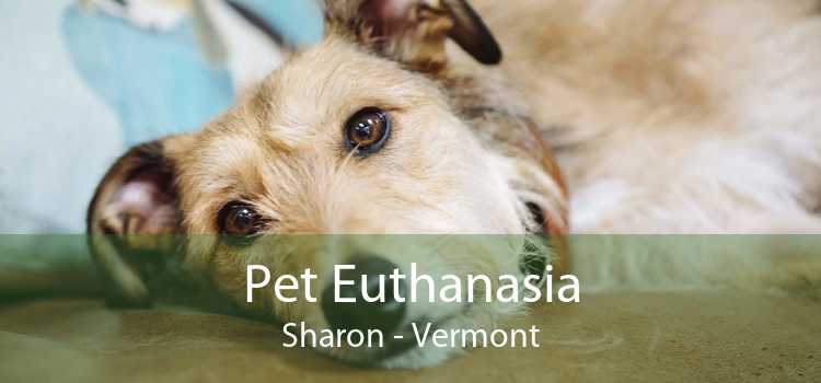 Pet Euthanasia Sharon - Vermont