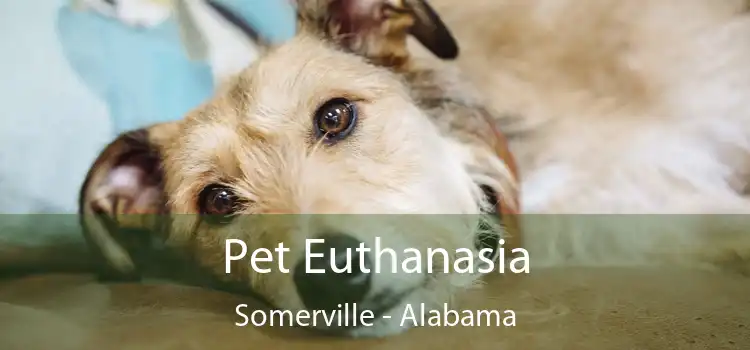 Pet Euthanasia Somerville - Alabama