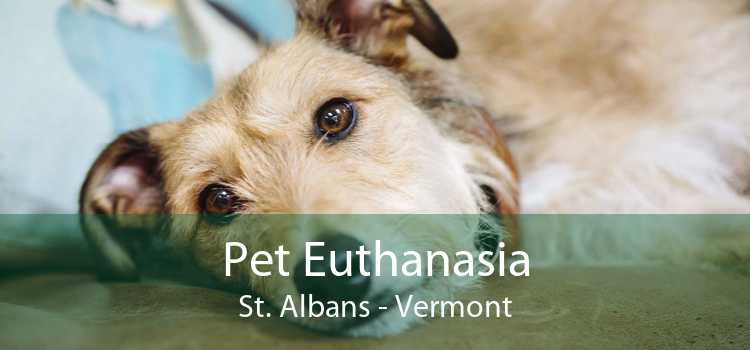 Pet Euthanasia St. Albans - Vermont