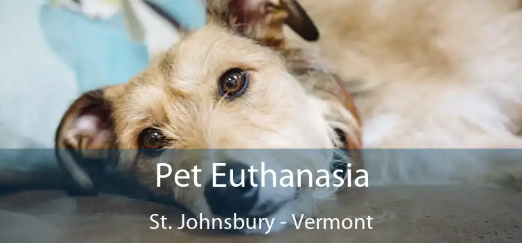 Pet Euthanasia St. Johnsbury - Vermont