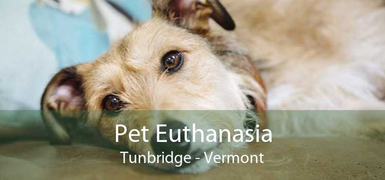 Pet Euthanasia Tunbridge - Vermont