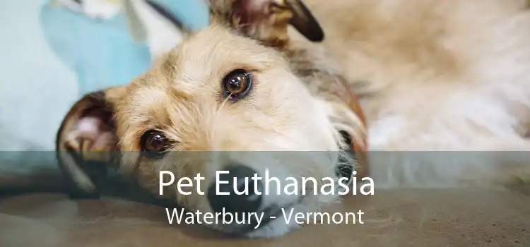 Pet Euthanasia Waterbury - Vermont