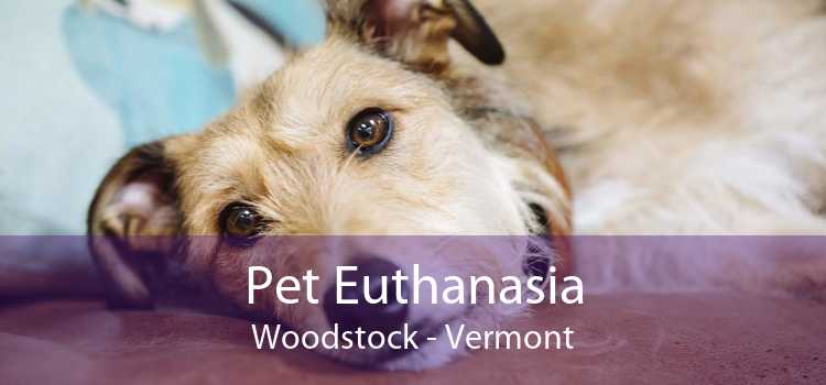 Pet Euthanasia Woodstock - Vermont