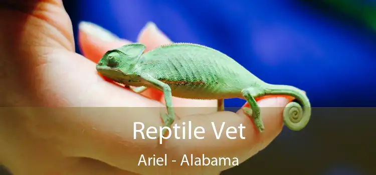 Reptile Vet Ariel - Alabama