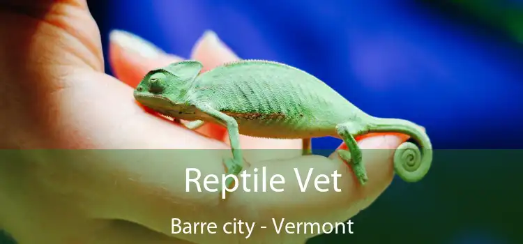 Reptile Vet Barre city - Vermont