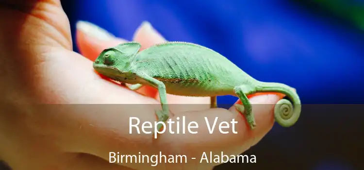 Reptile Vet Birmingham - Alabama