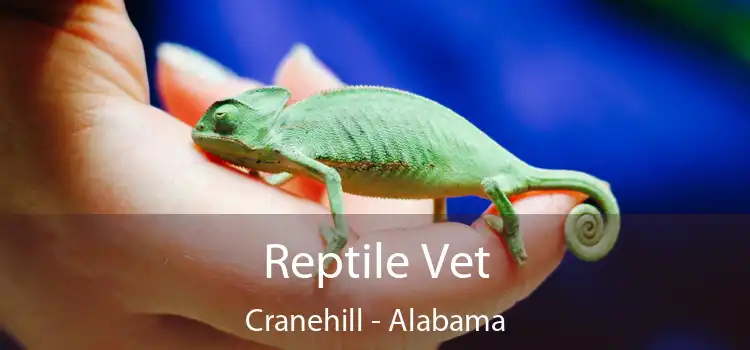 Reptile Vet Cranehill - Alabama