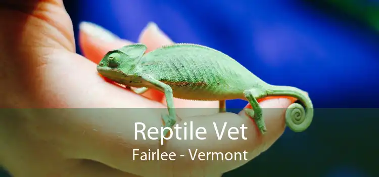 Reptile Vet Fairlee - Vermont