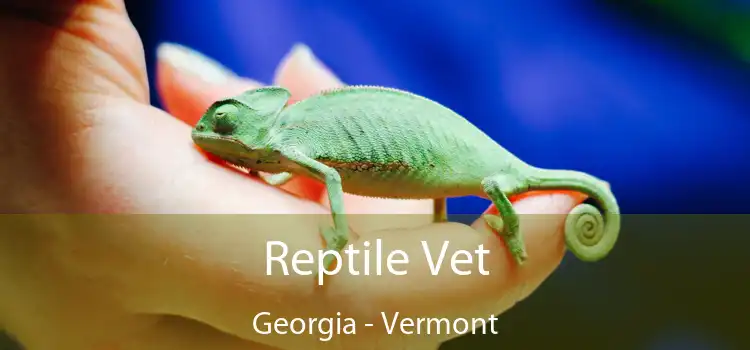 Reptile Vet Georgia - Vermont