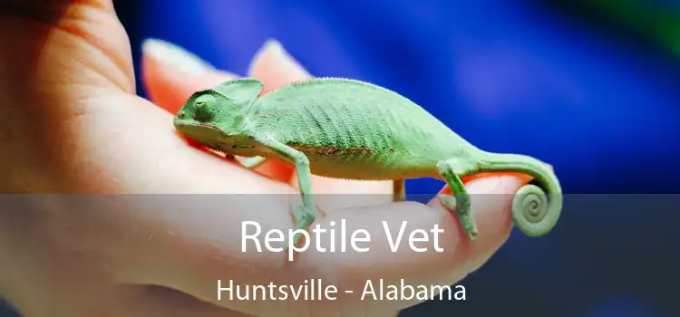 Reptile Vet Huntsville - Alabama