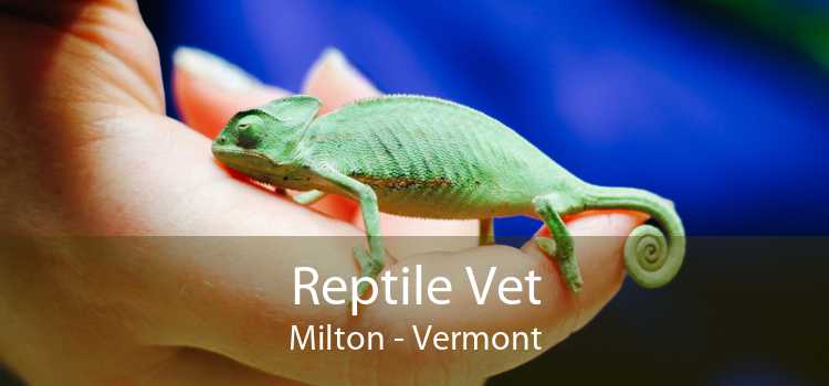 Reptile Vet Milton - Vermont