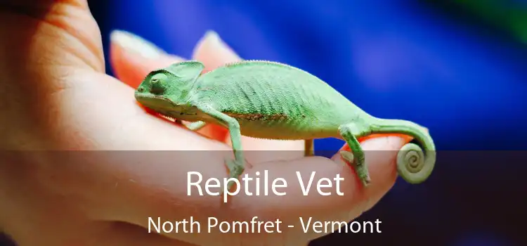 Reptile Vet North Pomfret - Vermont