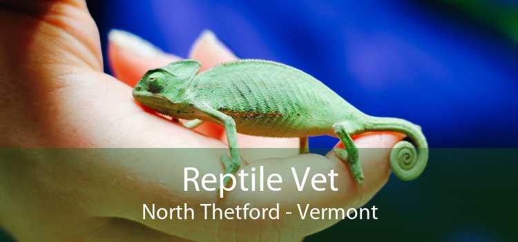 Reptile Vet North Thetford - Vermont