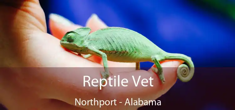 Reptile Vet Northport - Alabama