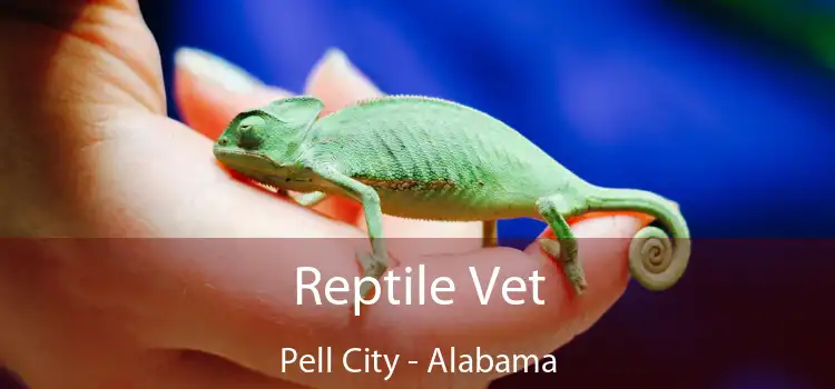 Reptile Vet Pell City - Alabama