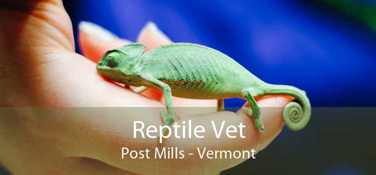 Reptile Vet Post Mills - Vermont