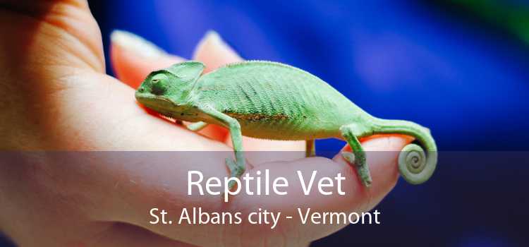 Reptile Vet St. Albans city - Vermont
