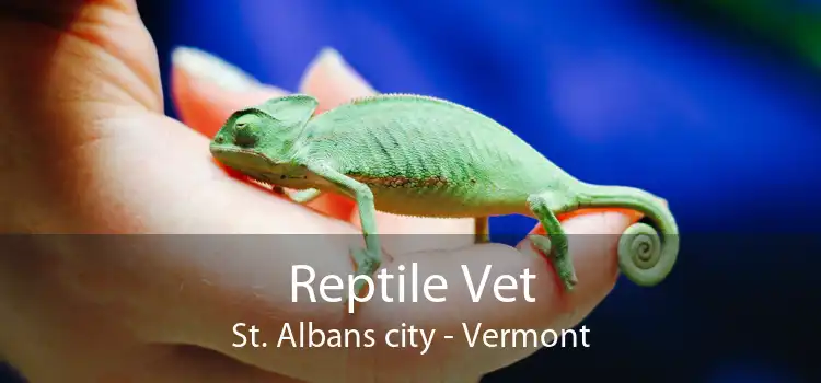 Reptile Vet St. Albans city - Vermont