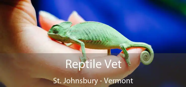 Reptile Vet St. Johnsbury - Vermont