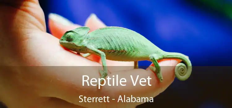 Reptile Vet Sterrett - Alabama