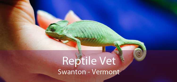 Reptile Vet Swanton - Vermont