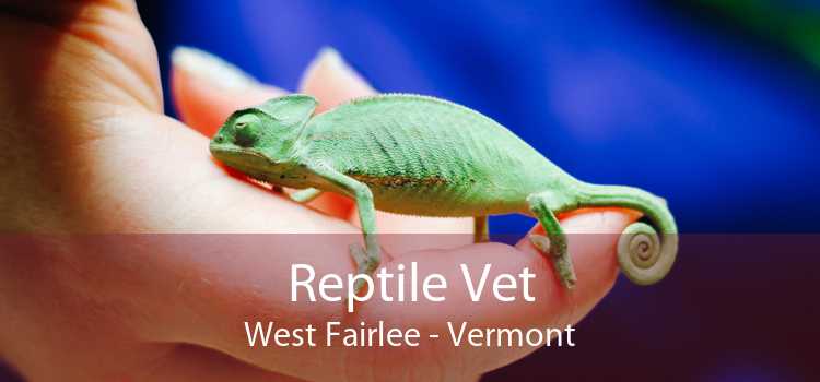 Reptile Vet West Fairlee - Vermont