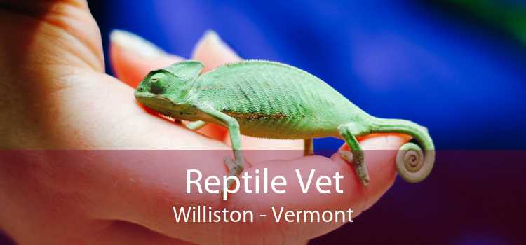 Reptile Vet Williston - Vermont
