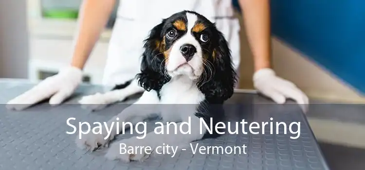 Spaying and Neutering Barre city - Vermont