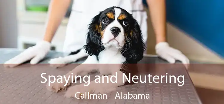 Spaying and Neutering Callman - Alabama