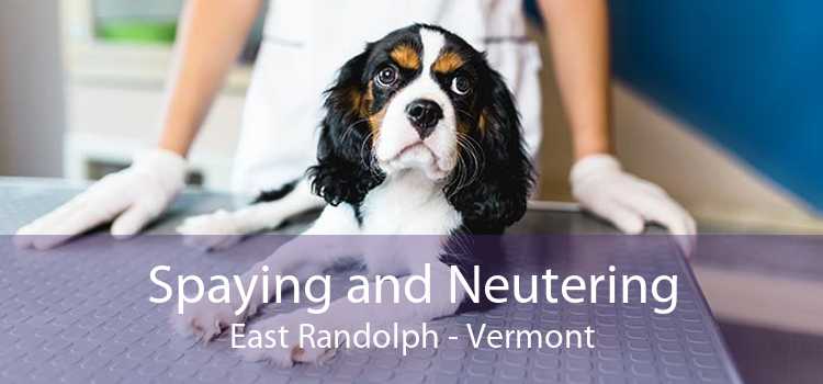 Spaying and Neutering East Randolph - Vermont