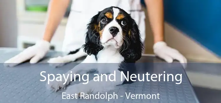 Spaying and Neutering East Randolph - Vermont