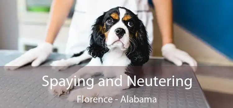 Spaying and Neutering Florence - Alabama