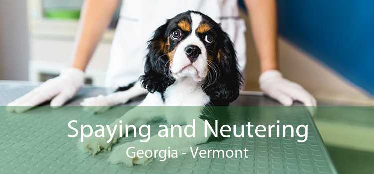 Spaying and Neutering Georgia - Vermont