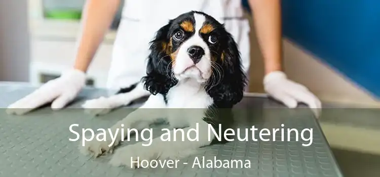 Spaying and Neutering Hoover - Alabama