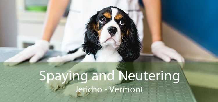Spaying and Neutering Jericho - Vermont
