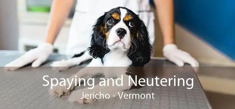 Spaying and Neutering Jericho - Vermont